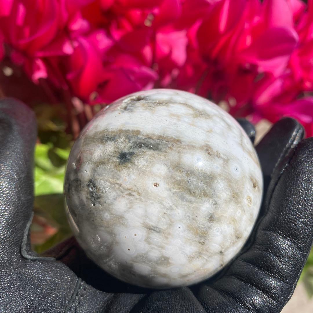 1個限定!! 8thveinジャスパー  エイスベインオーシャンジャスパー