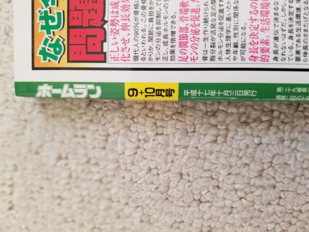 ホームラン2005夏　甲子園大会