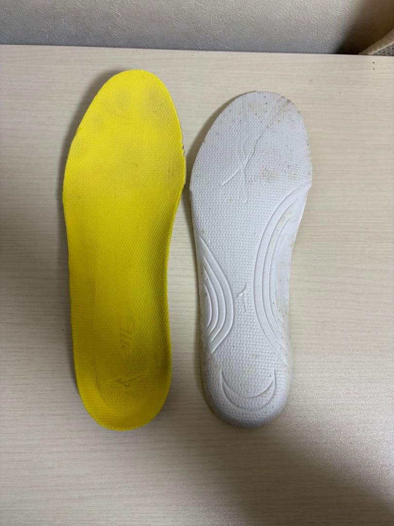 MizunoPro オーダー トレーニングシューズ 赤 27cm