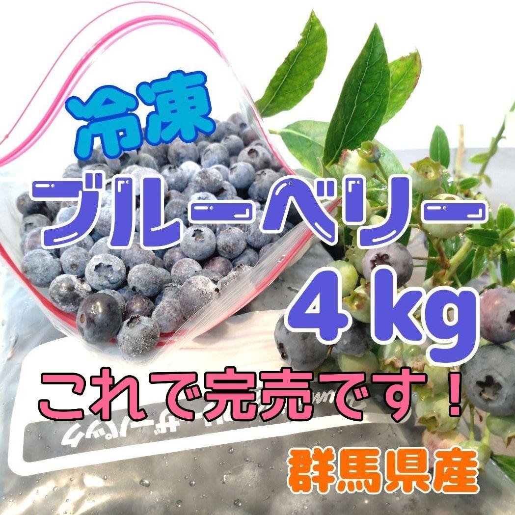 まもなく完売！　冷凍ブルーベリー 4kg