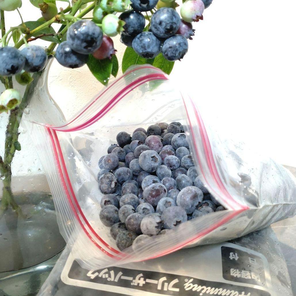 まもなく完売！　冷凍ブルーベリー 4kg