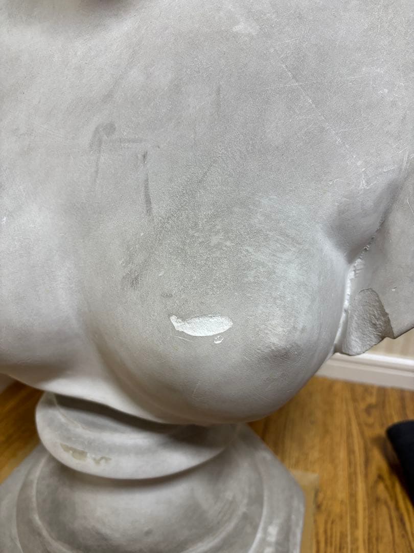 石膏像　カピトリーノのヴィーナス胸像(カッパ)　大型