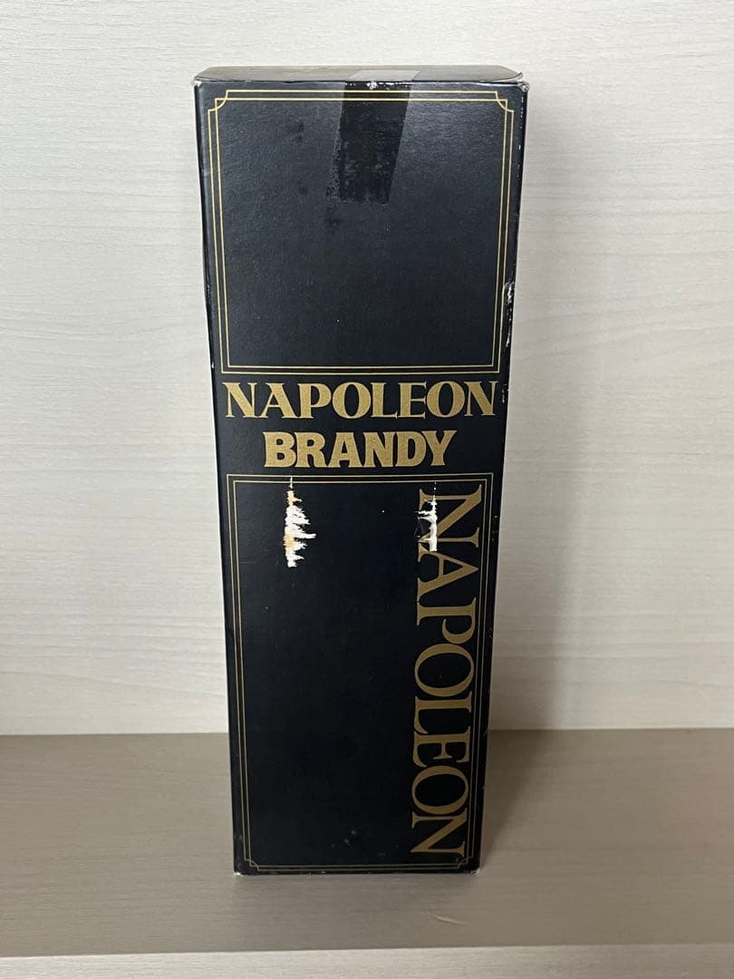 特級従価表示Rémy Martin & Napoléon ブランデー 4本セット