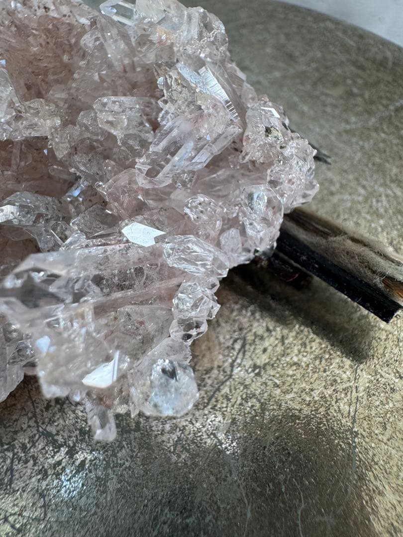 DT コロンビア　ピンクレムリアン　クリノコア　ドゥルージー