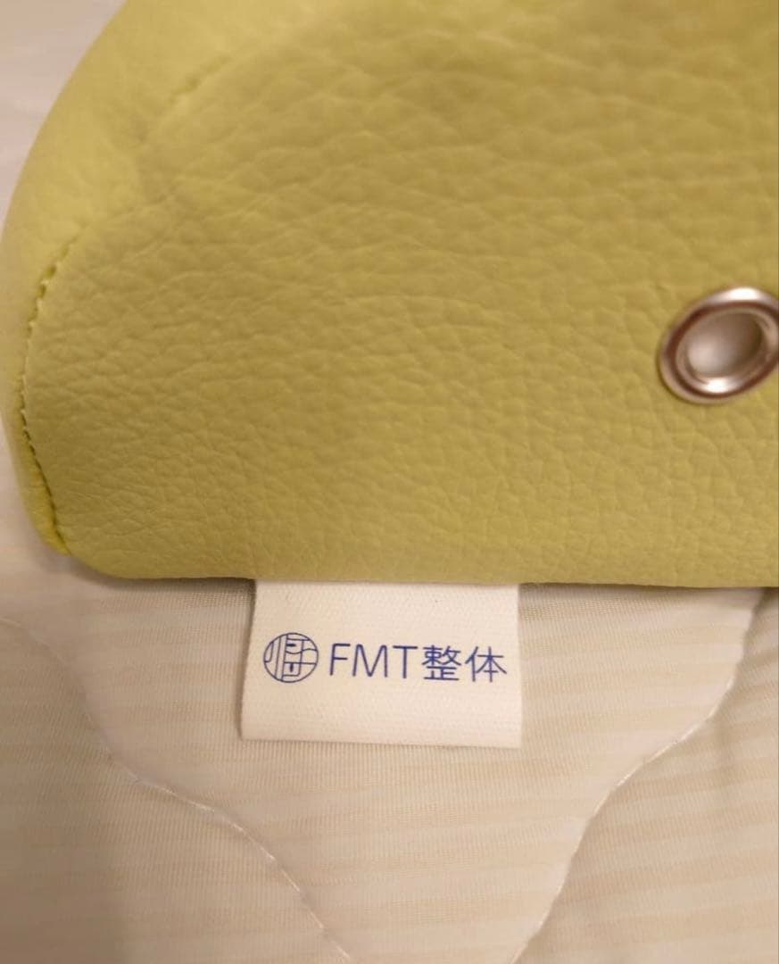 FMT整体 ライトグリーン 枕