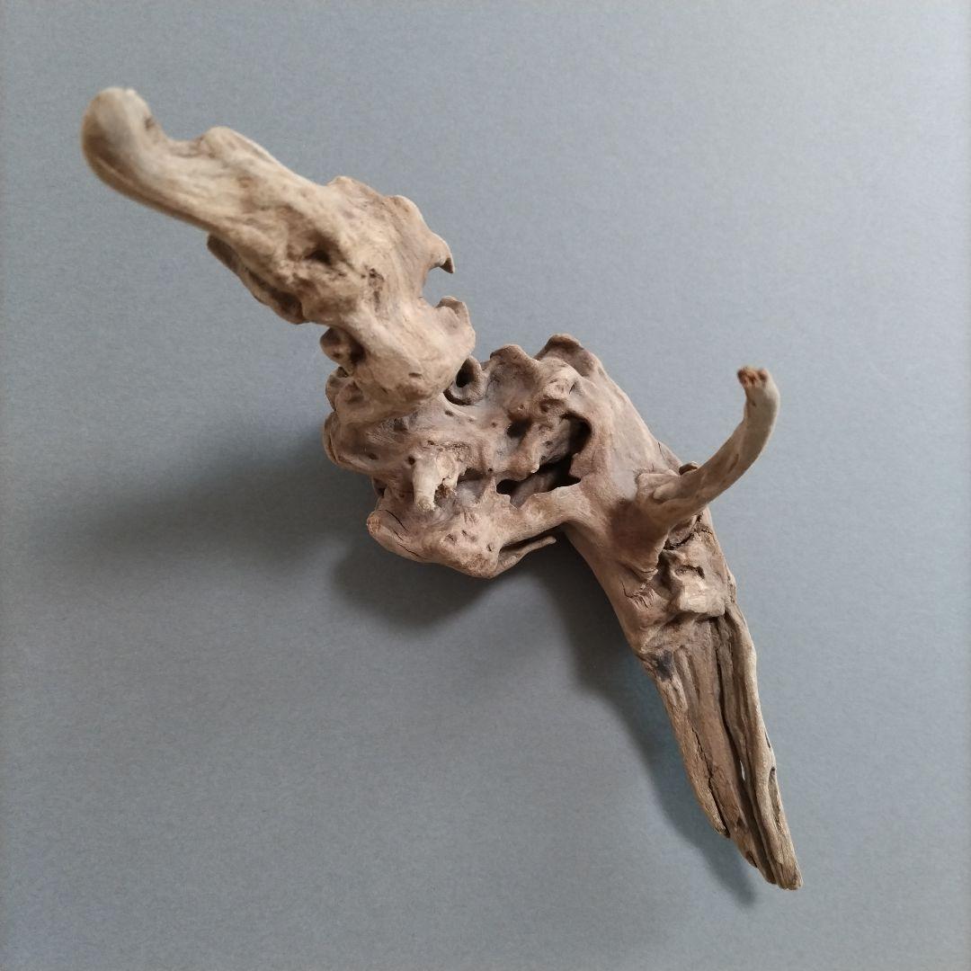 【匿名配送】マングローブ系流木 龍形