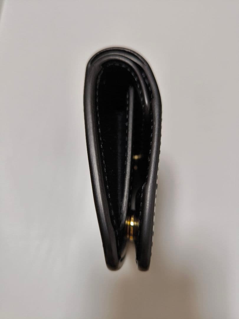 【新品】ワイルドスワンズ　kf-003 ポント　パーム　カーサ イーノ　タング