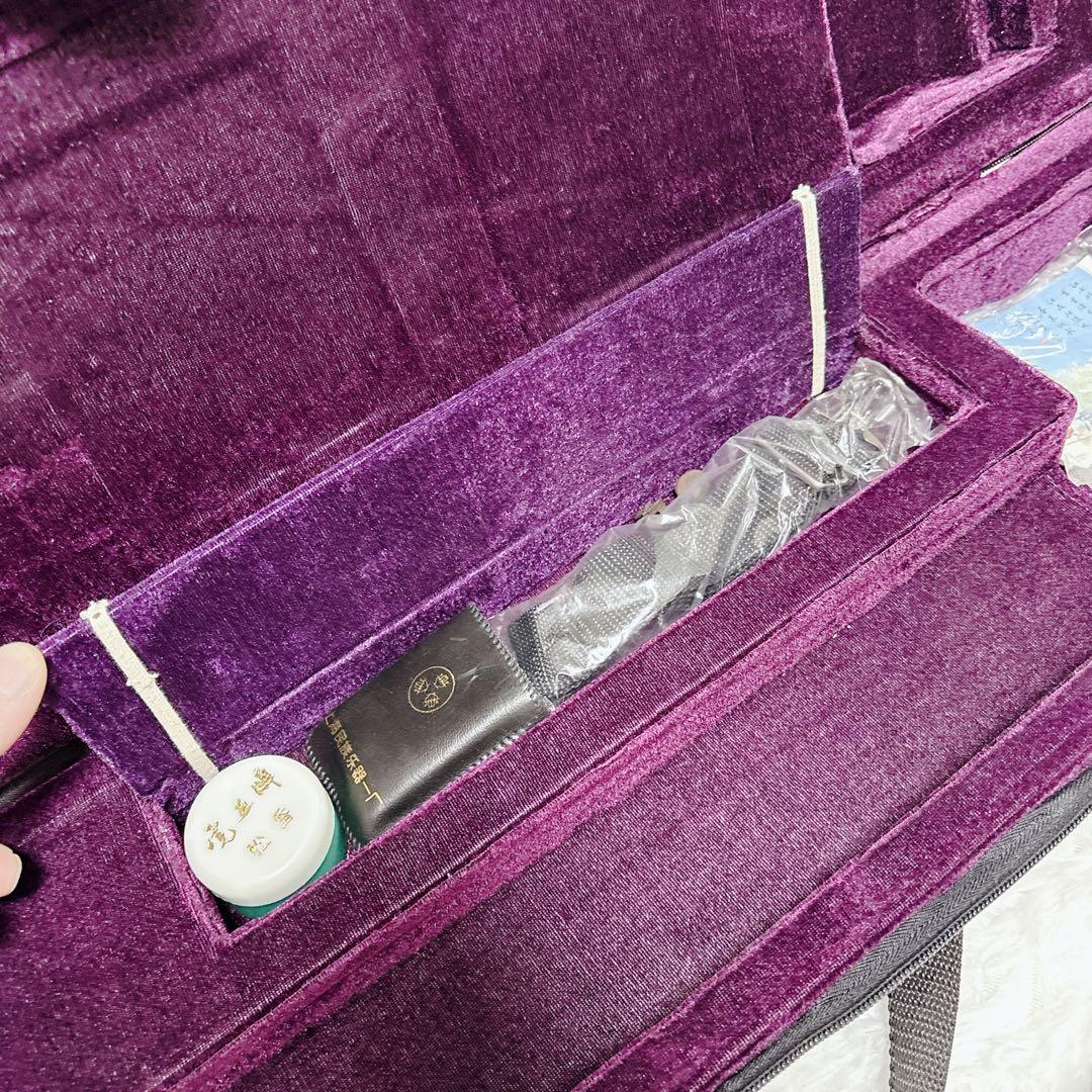 二胡★中古品・現状品、付属品、ケース付き