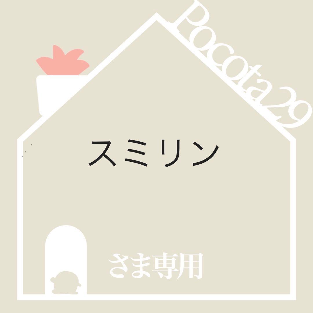 エケベリア　韓国苗　超特大　メリディアン　多肉植物　ポコ多肉