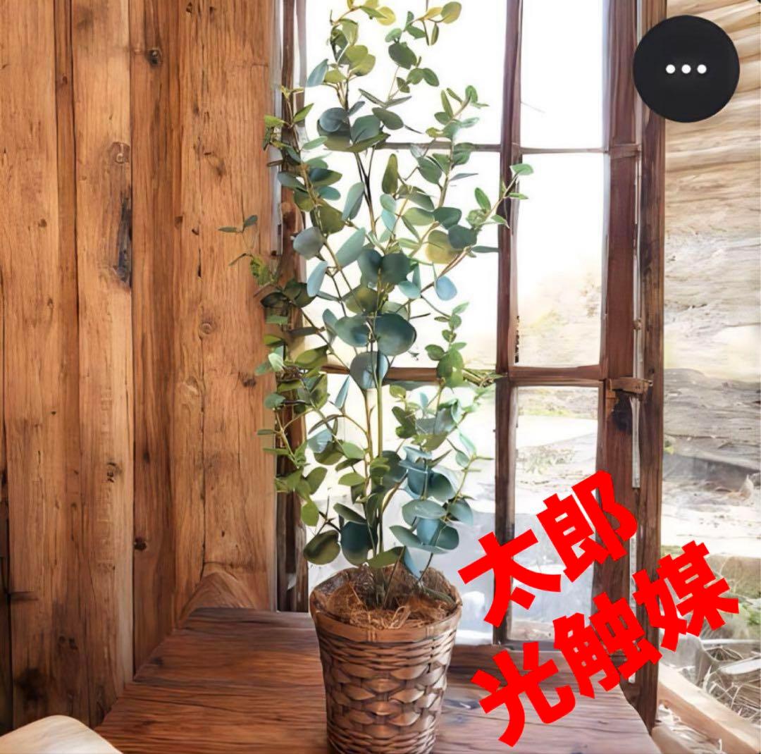 光触媒　人工観葉植物　ウォールグリーン　フェイクグリーン　ユーカリポット1004