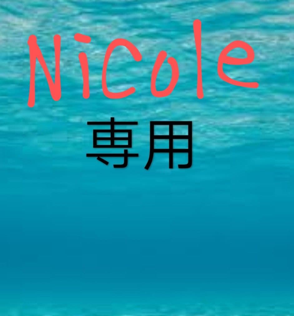 筋子醤油２ｋ 切れ明太２ｋ Nicole