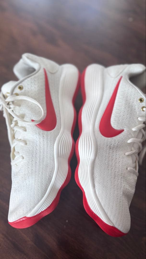 Nike HYPER DANK 2017✴︎Lunar New Year✴︎美品