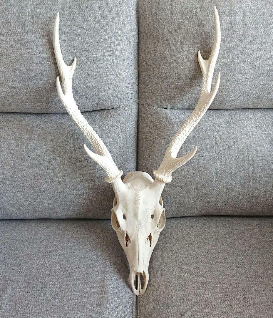 ホワイト鹿の骨製インテリア装飾
