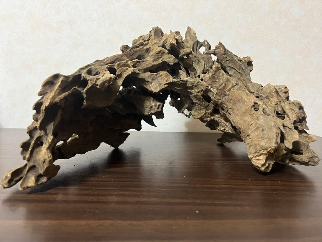 XM-321 流木マシンガンウッド　ブランチウッド　アクアリウム　沈水確認済