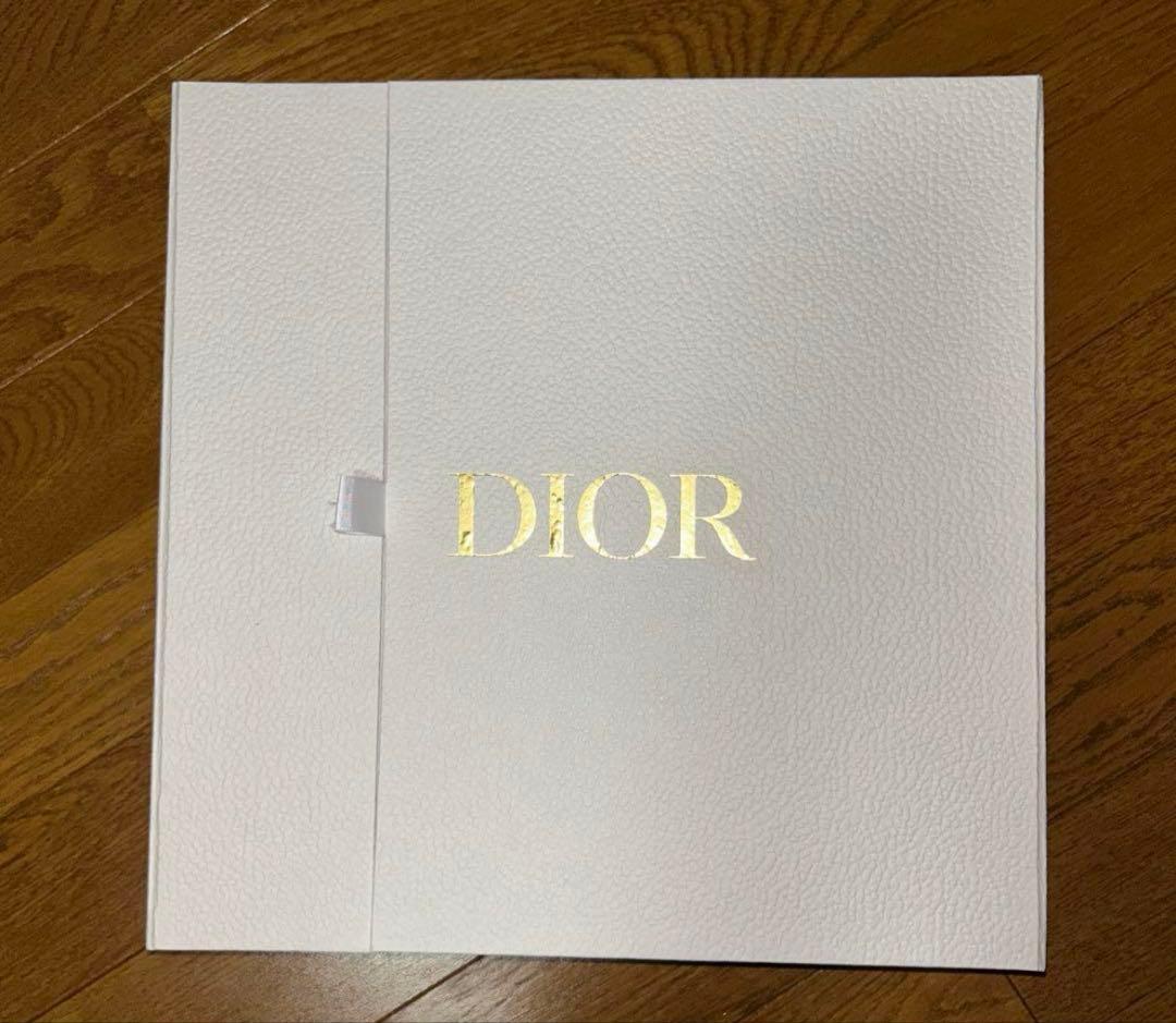 未使用DIOR ディオール 現行品ディナープレート 28cm プラン ドゥ パリ