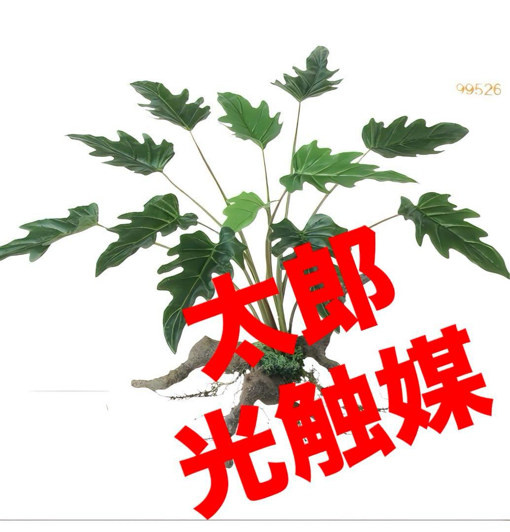 光触媒　人工観葉植物　フェイクグリーン　クッカバラスタンプウッド