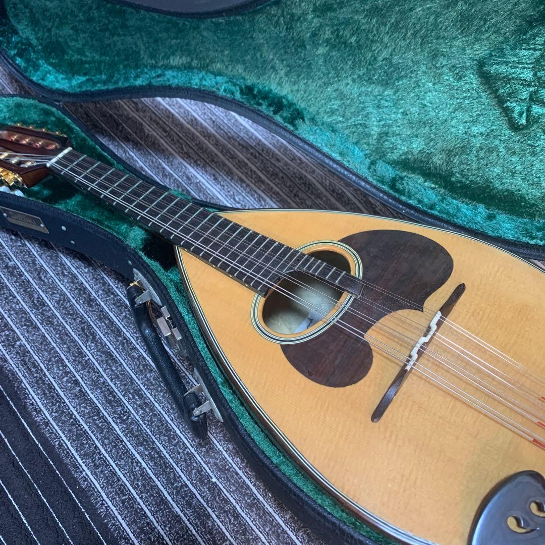 鈴木マンドリン　M-60