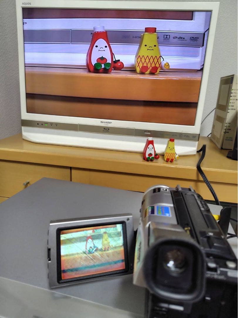 ビデオカメラ SONY DCR-TRV310K