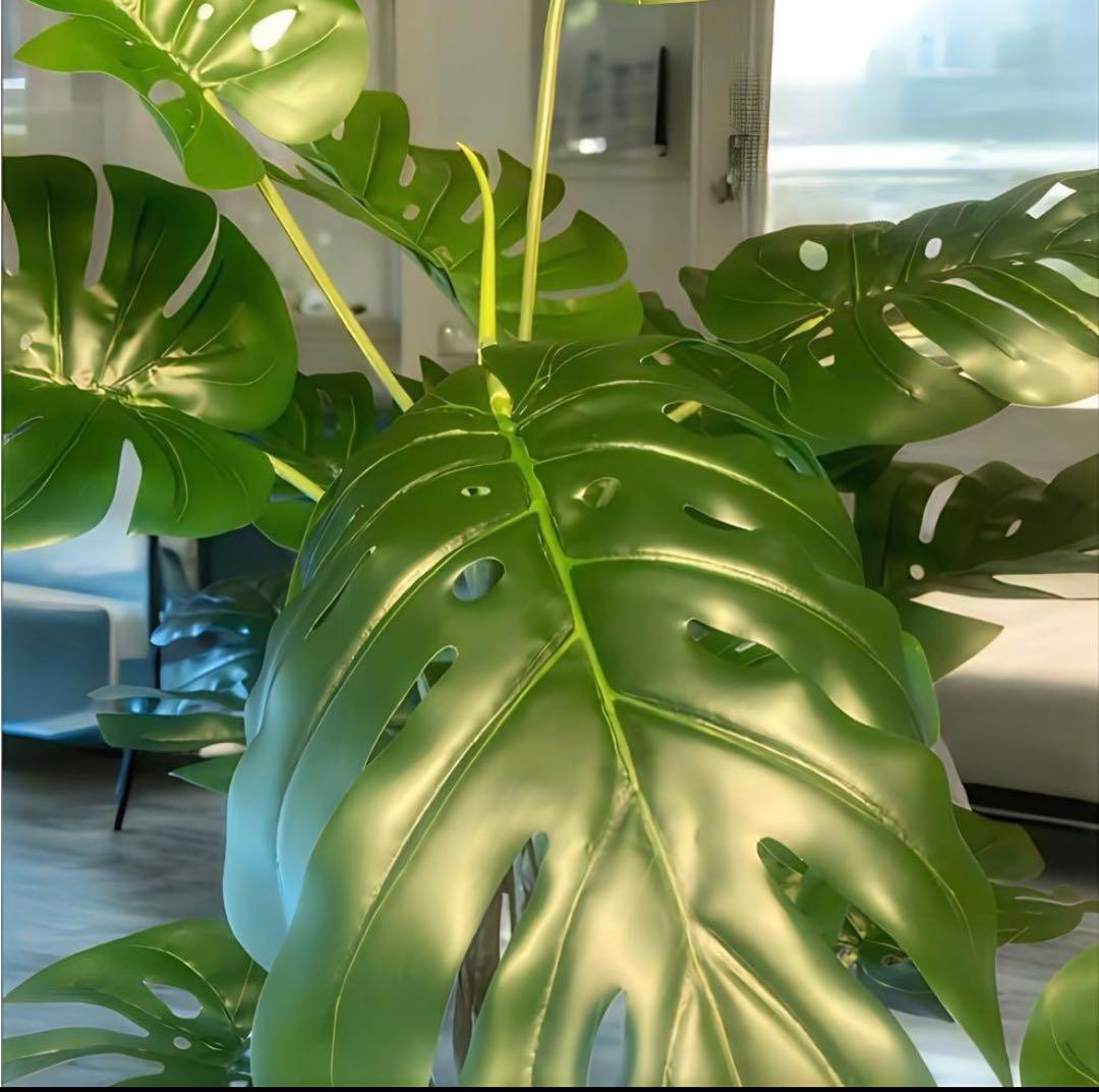 光触媒　人工観葉植物　ウォールグリーン　フェイクグリーン　モンステラ160