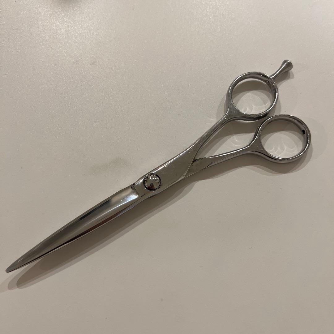 トラックスシザー　HARD6.0 PARM10 2本セット