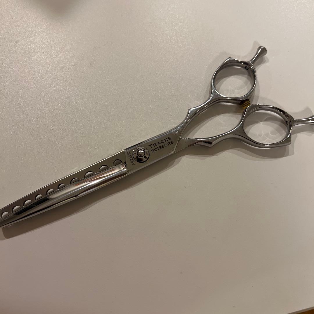 トラックスシザー　HARD6.0 PARM10 2本セット