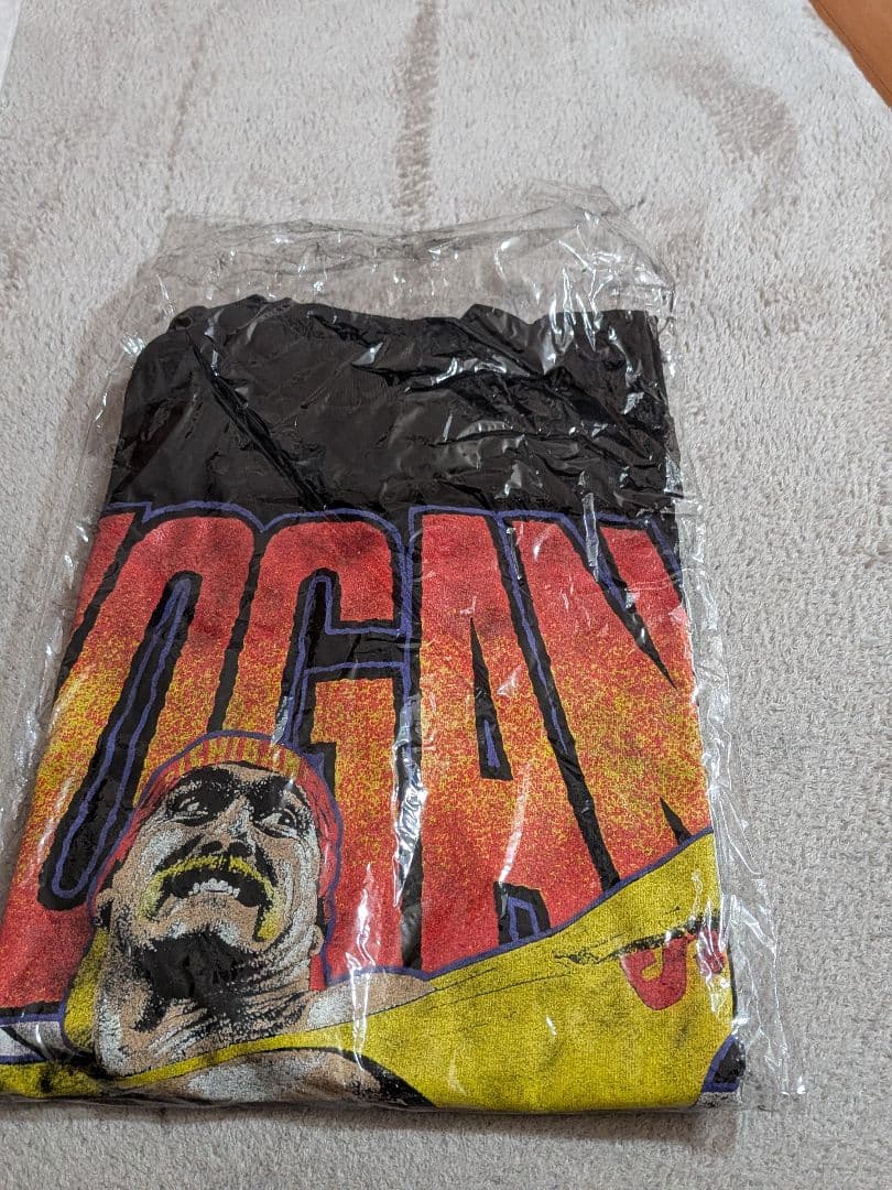 プロレス　ハルクホーガン　Hulk Hogan Tシャツ　シングルステッチ