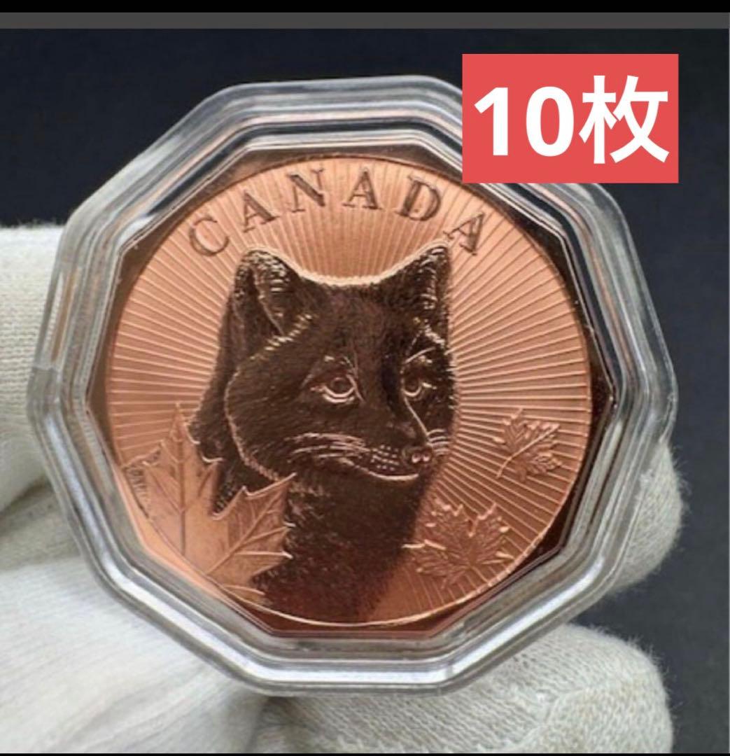 カナダ純銅【限定1000枚】 1oz 六角形（無着色）10枚