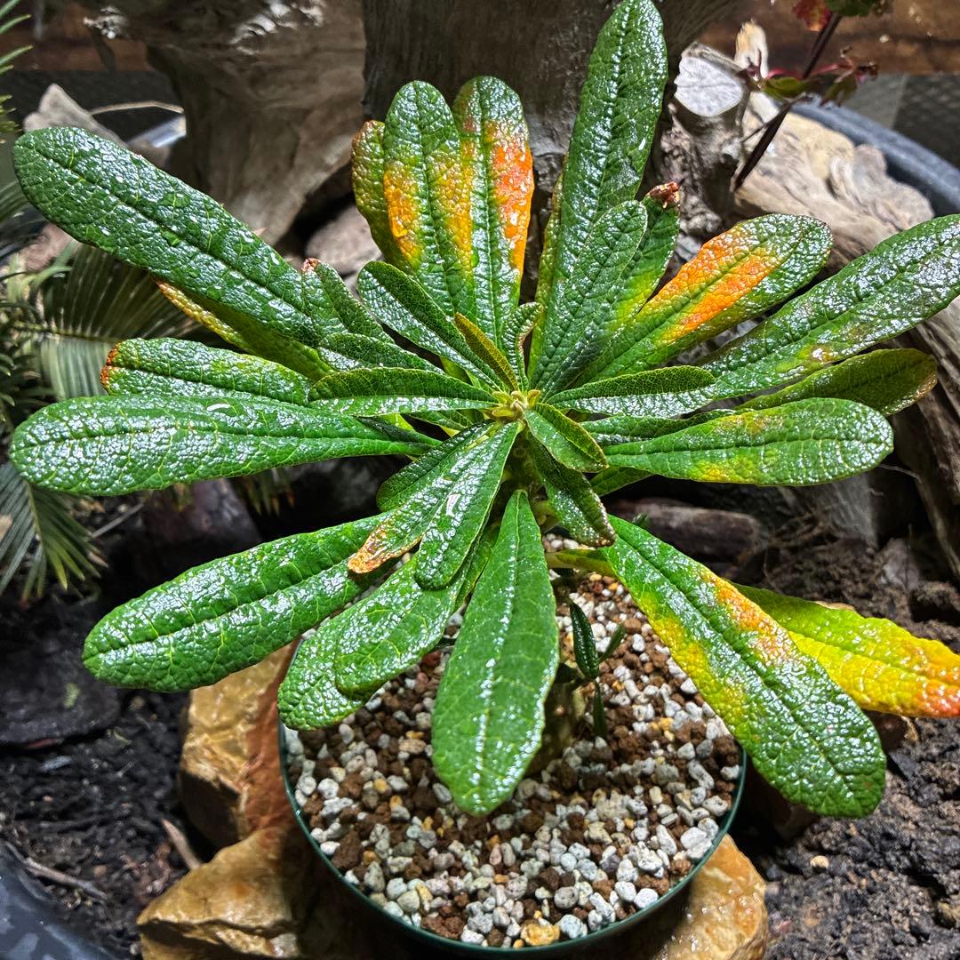 専用　まとめ買い