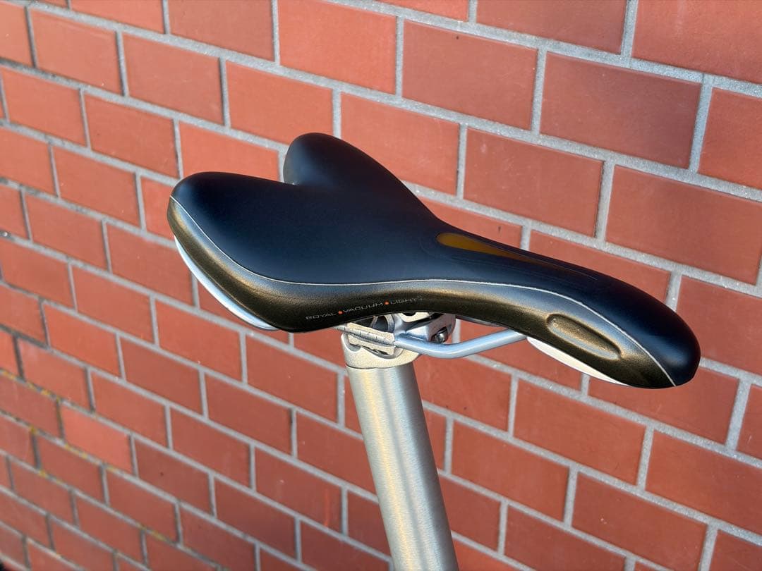 R&M Birdy BD-1 Speed ハイポリッシュ カスタム