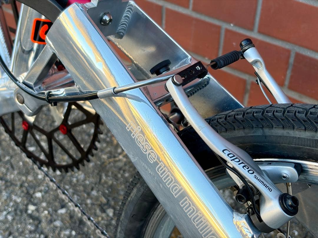 R&M Birdy BD-1 Speed ハイポリッシュ カスタム