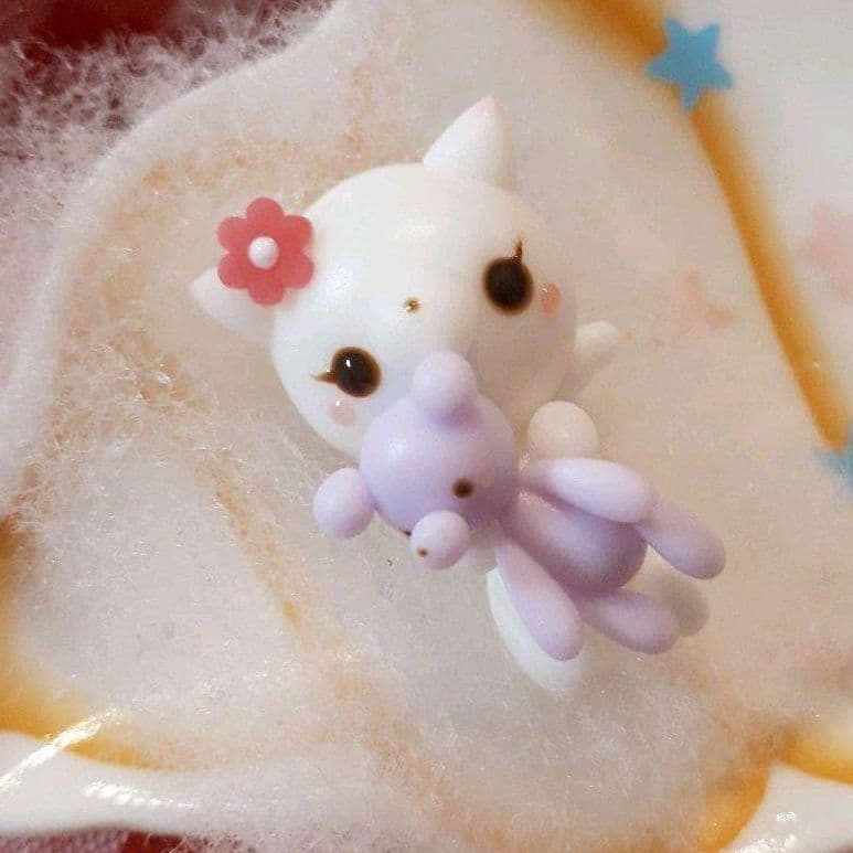 白猫ちゃん♡大好きテディベア