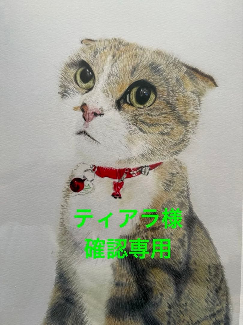 ティアラブレスレット一式