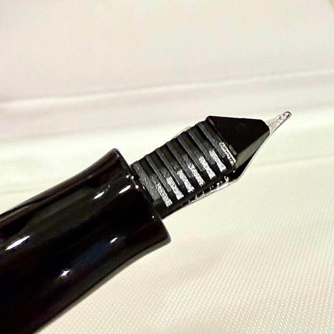 【2007年購入】Waterman チャールストンFP ラック BK CT F