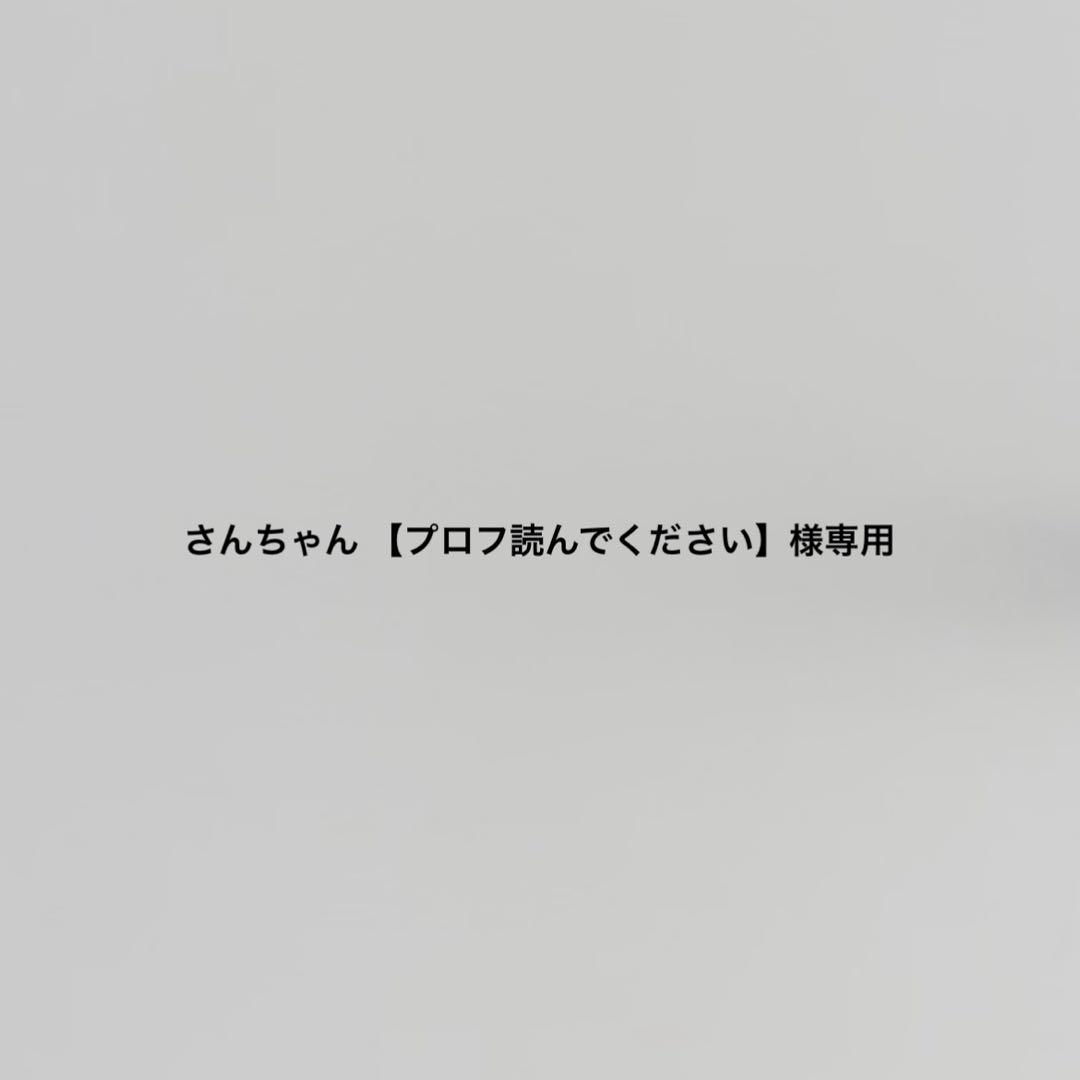 さんちゃん　韓国　バインダー　カバー　貯金　ストライプ　リフィル