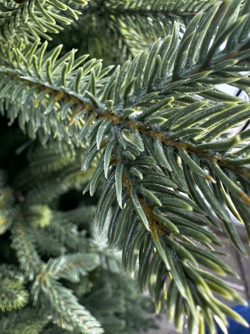 コストコ　200cm 緑色クリスマスツリー