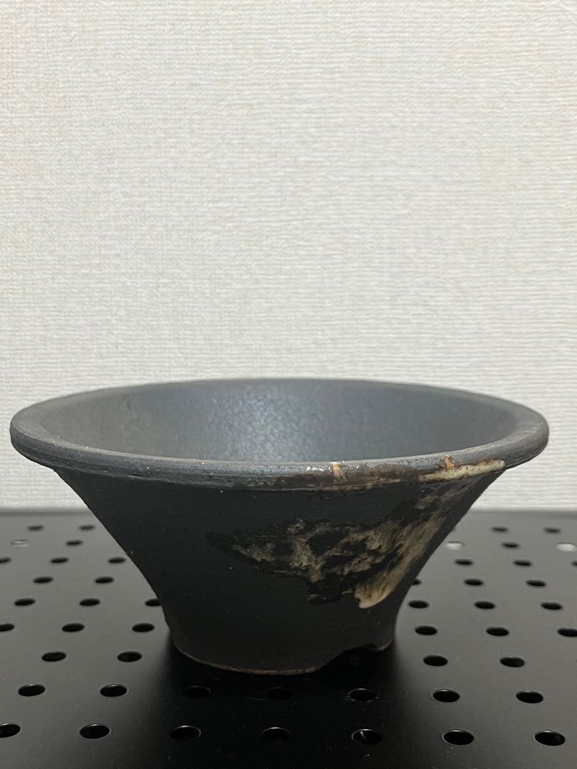 陶器鉢セット　塊根植物　浅鉢　深鉢