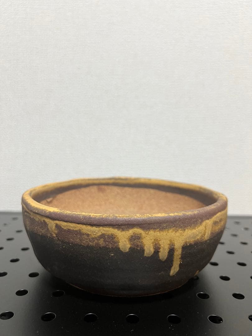 陶器鉢セット　塊根植物　浅鉢　深鉢