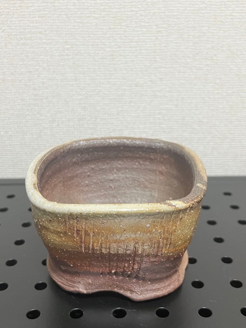 陶器鉢セット　塊根植物　浅鉢　深鉢