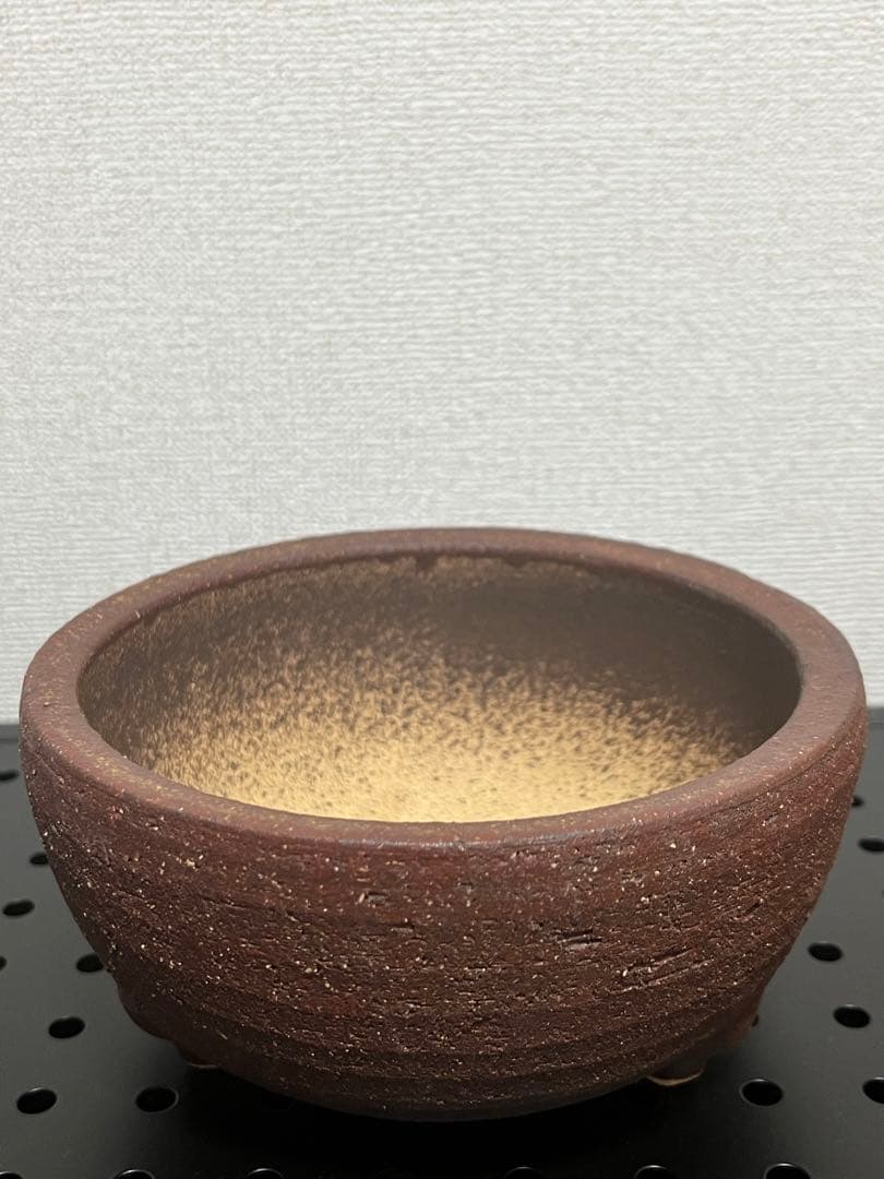 陶器鉢セット　塊根植物　浅鉢　深鉢