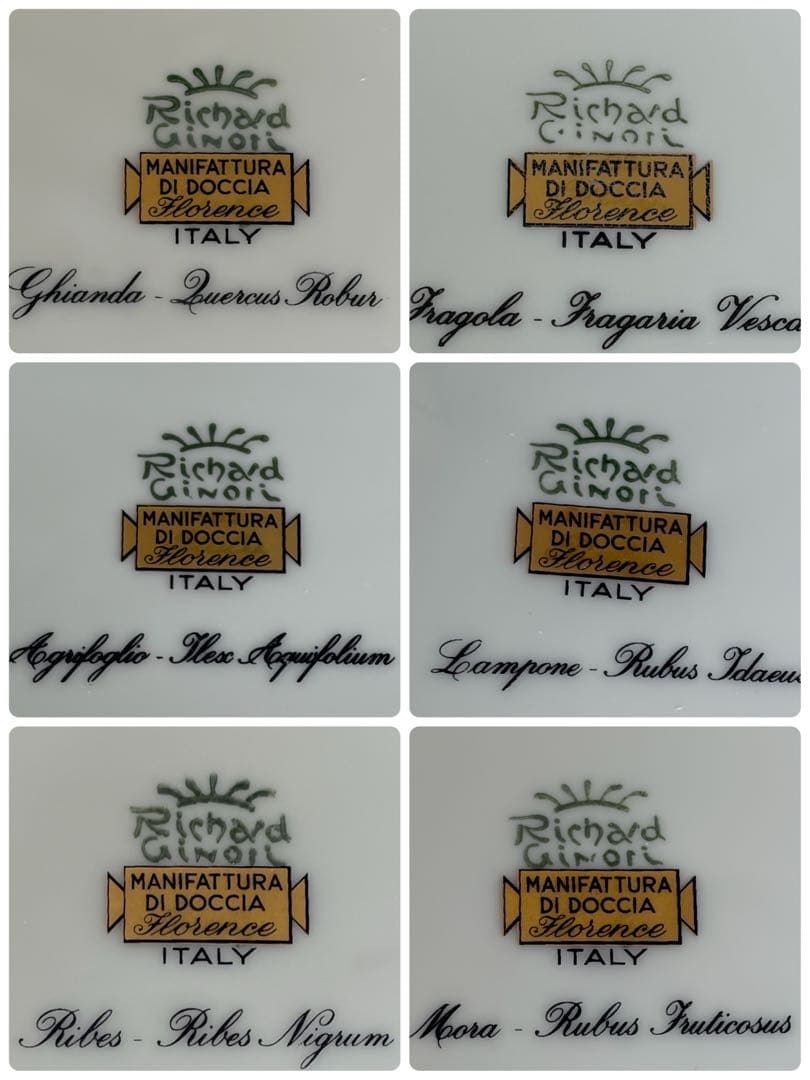 【希少品】新品　リチャードジノリ・サボイア家の絵皿★森の果実★プレート6枚