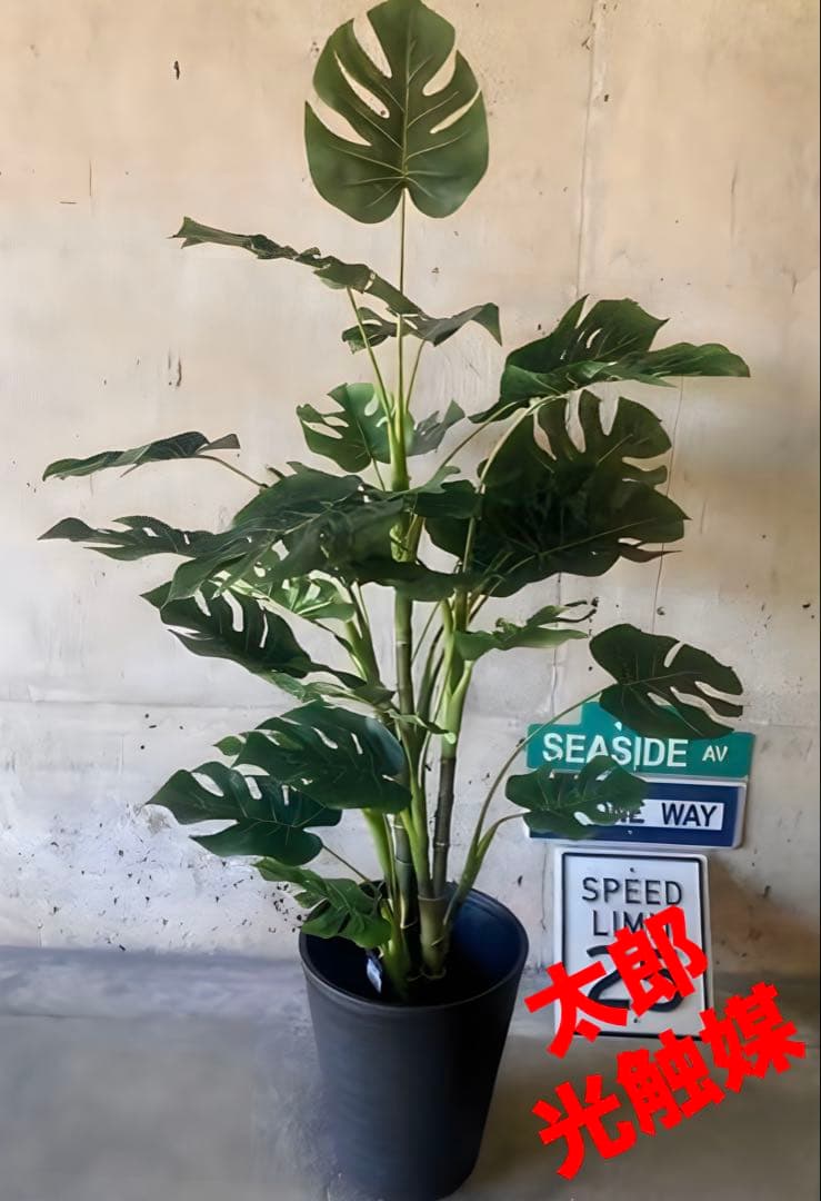光触媒　人工観葉植物　ウォールグリーン　フェイクグリーン　モンステラ12080