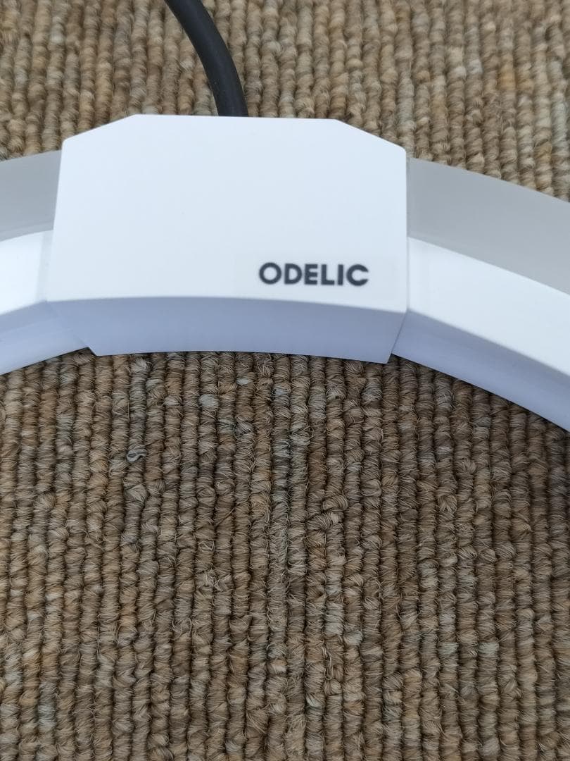 ODELICペンダントライト2個セット LED一体型【O-2502TL8】