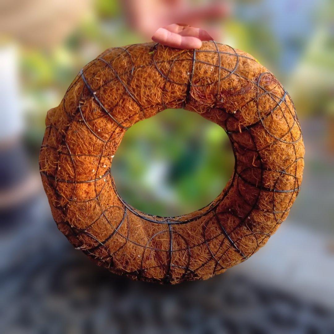 葉牡丹　シクラメン等　寄せ植え　直径約34cmハンギングリース　140サイズ発送