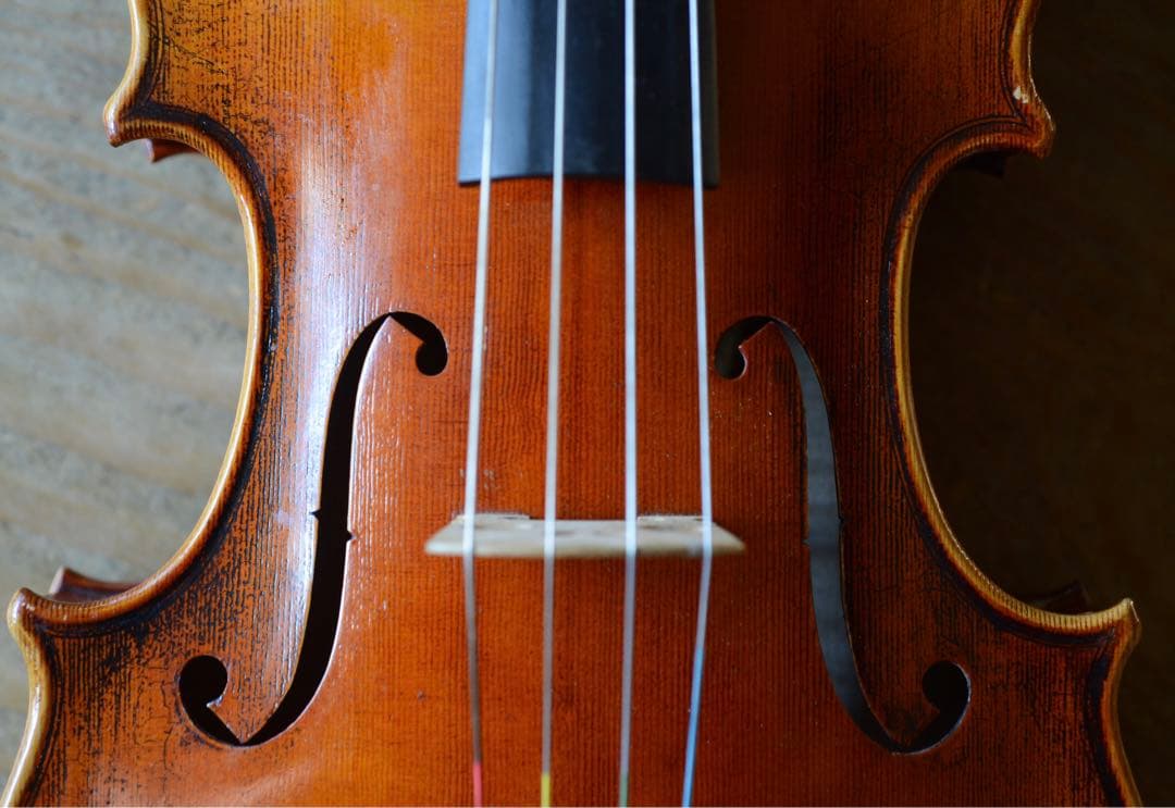 胴長40.5cm 中古ビオラ ラベル無し