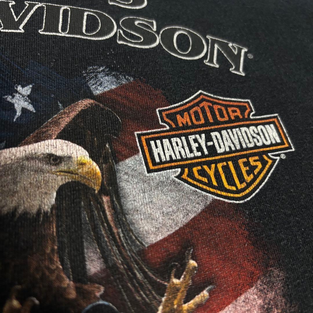 ハーレーダビッドソン　ロングTシャツ　Lサイズ　ブラック　ロゴプリント　古着