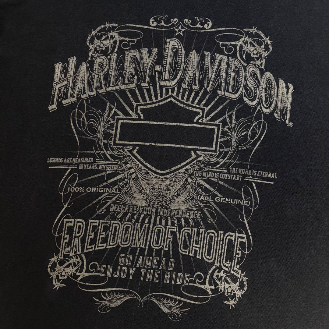 ハーレーダビッドソン　ロングTシャツ　Lサイズ　ブラック　ロゴプリント　古着