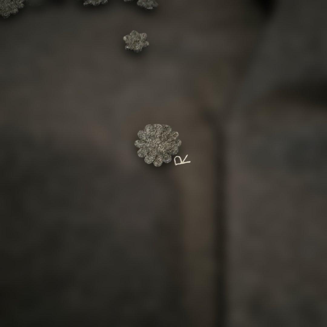 45Rフロートニットフラワードレス