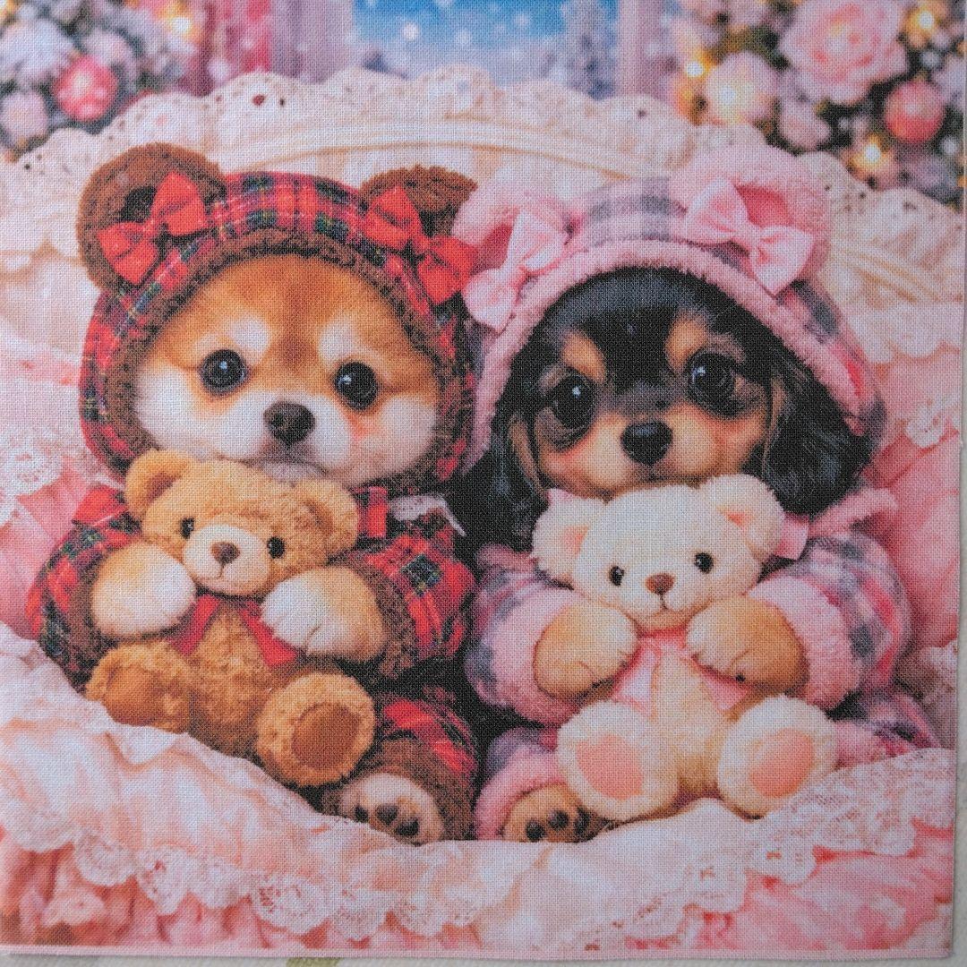 ☆受付☆ダックス No.A