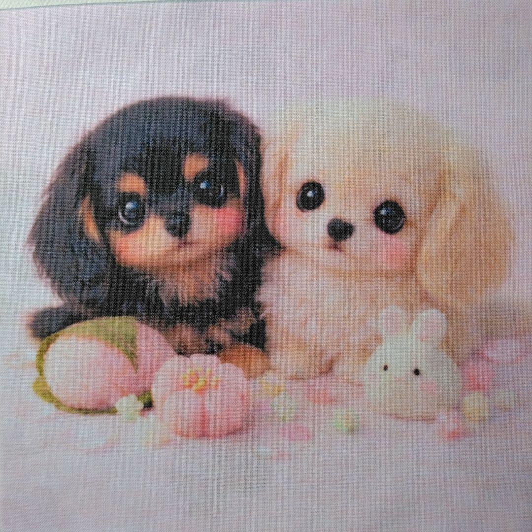 ☆受付☆ダックス No.A