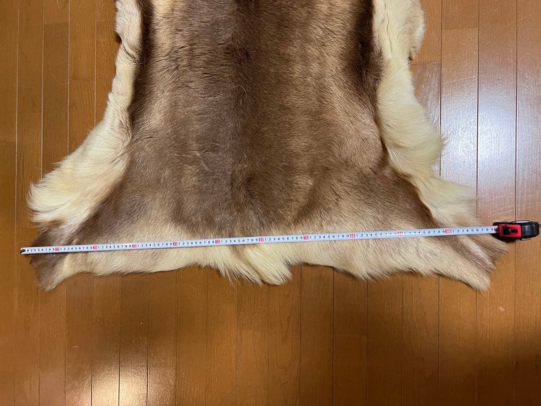 トナカイ毛皮　本物　高級品